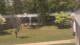 Cold Spring Harbor, New York 08.05.2025 14:34