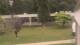 Cold Spring Harbor, New York 21.05.2025 14:34