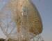 Jodrell Bank Observatory 19.06.2025 14:48
