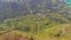 Velika Planina 29.04.2025 14:16