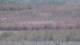 Les Landes-Genusson 15.06.2025 14:16