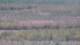 Les Landes-Genusson 09.06.2025 14:16