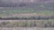 Les Landes-Genusson 08.05.2025 14:16