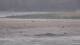 Les Landes-Genusson 04.01.2025 14:17