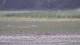 Les Landes-Genusson 16.03.2025 14:17
