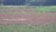 Les Landes-Genusson 10.07.2025 14:16