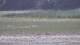 Les Landes-Genusson 08.05.2025 14:16