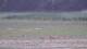 Les Landes-Genusson 11.05.2025 14:16