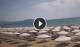 Paestum 12.07.2025 14:16