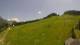 Sonnleitn 15.06.2025 14:04