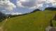 Sonnleitn 03.07.2025 14:04