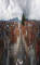 Graz 19.04.2025 14:06