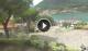 Sulzano 05.07.2025 14:17