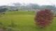 Abtenau 22.04.2025 14:17