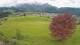 Abtenau 22.03.2025 14:17