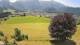 Abtenau 14.06.2025 14:17