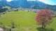 Abtenau 29.04.2025 14:17