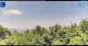 Gorga 08.06.2025 14:18