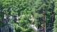 Jurmala 14.07.2025 14:27