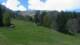 Cordon 29.04.2025 14:19
