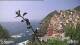 Riomaggiore (Cinque Terre) 09.06.2025 14:18
