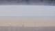 Henne Strand 15.06.2025 14:15