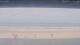 Henne Strand 08.06.2025 14:15