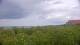 Zuydcoote 03.06.2025 14:19