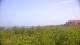 Zuydcoote 15.06.2025 14:19