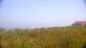 Zuydcoote 30.04.2025 14:19