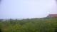 Zuydcoote 09.06.2025 14:19
