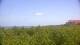 Zuydcoote 03.07.2025 14:19