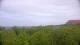Zuydcoote 05.07.2025 14:19