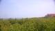 Zuydcoote 14.06.2025 14:19