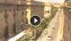 Floriana 09.06.2025 14:19