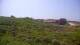 Zuydcoote 08.06.2025 14:19