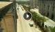 Floriana 08.07.2025 14:19