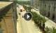 Floriana 09.07.2025 14:19