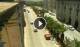 Floriana 11.07.2025 14:19