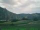 Cantalupo Ligure 05.07.2025 14:19