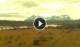 Nationalpark Torres del Paine 09.06.2025 14:20