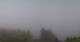 Bürserberg 08.05.2025 14:20