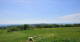 Grebenhain 29.04.2025 14:20