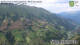 Hopfgarten im Defereggental 15.07.2025 14:11