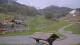 Les Orres 17.04.2025 14:21