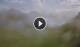 Syðrugøta 15.07.2025 14:29