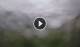 Syðrugøta 15.06.2025 14:22