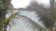 Pointe aux Canonniers 30.04.2025 14:22