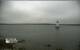 Shelburne 15.07.2025 14:34