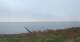 Nebel (Amrum) 04.12.2025 14:29